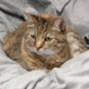 Meet your Posher, Deborah